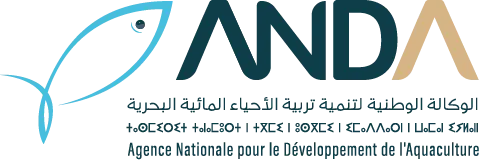 Logo ANDA